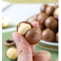 Roasted Pre-cracked Macadamia Macadamia Nuts Nut Snacks from CN;HEB 0.18 Kg Bag Packaging Normal Baked Sweet Hard